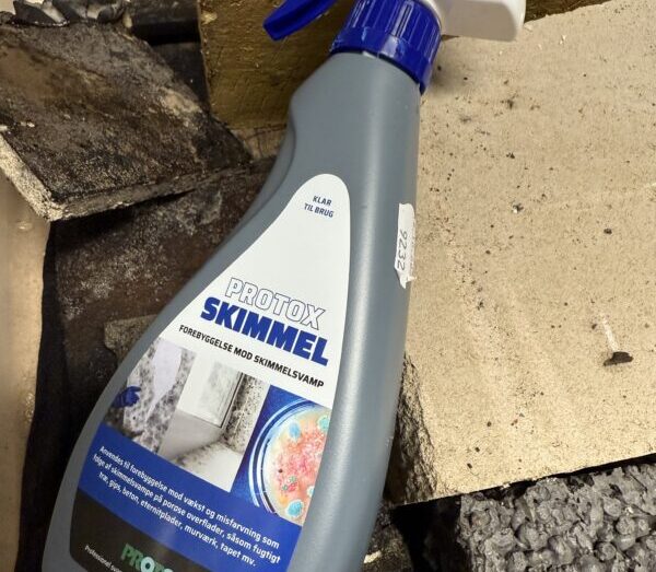 Sådan bekæmper du skimmelsvamp: Produkter der ‘faktisk’ virker